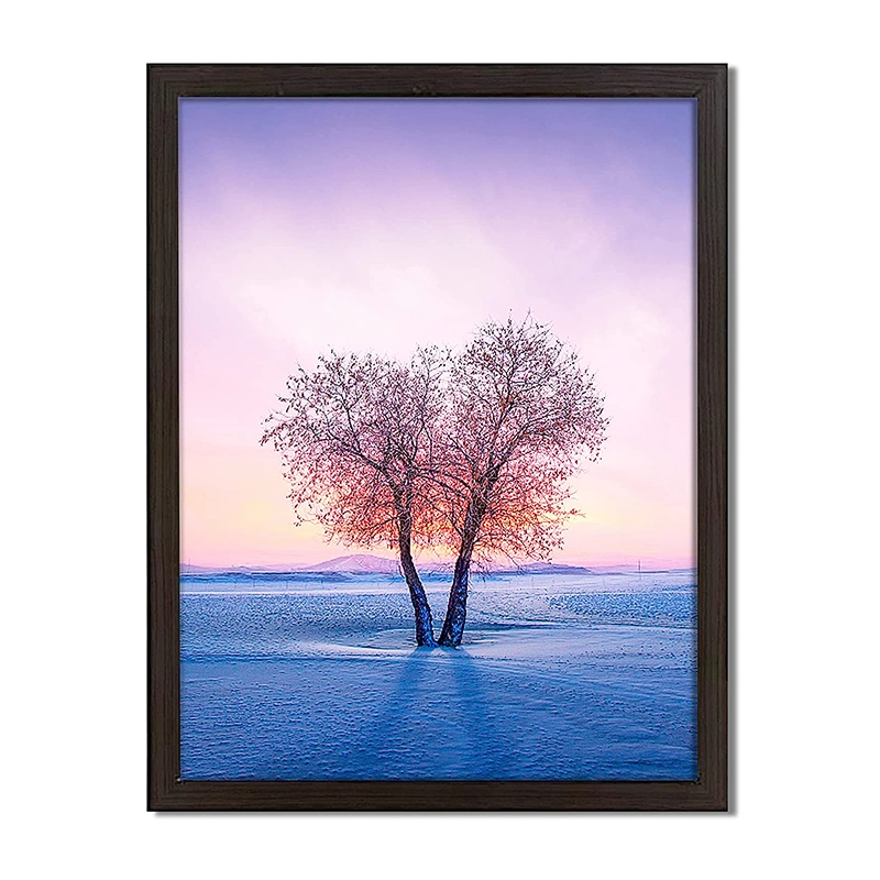 Beautiful Landscape 3D Lenticular Printing 3D Effect Pictures